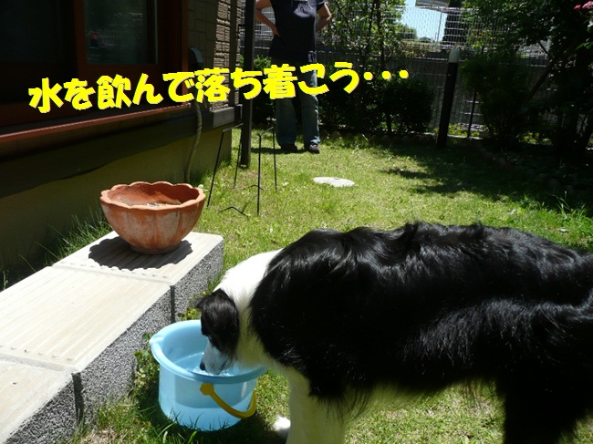c0147241_844978.jpg