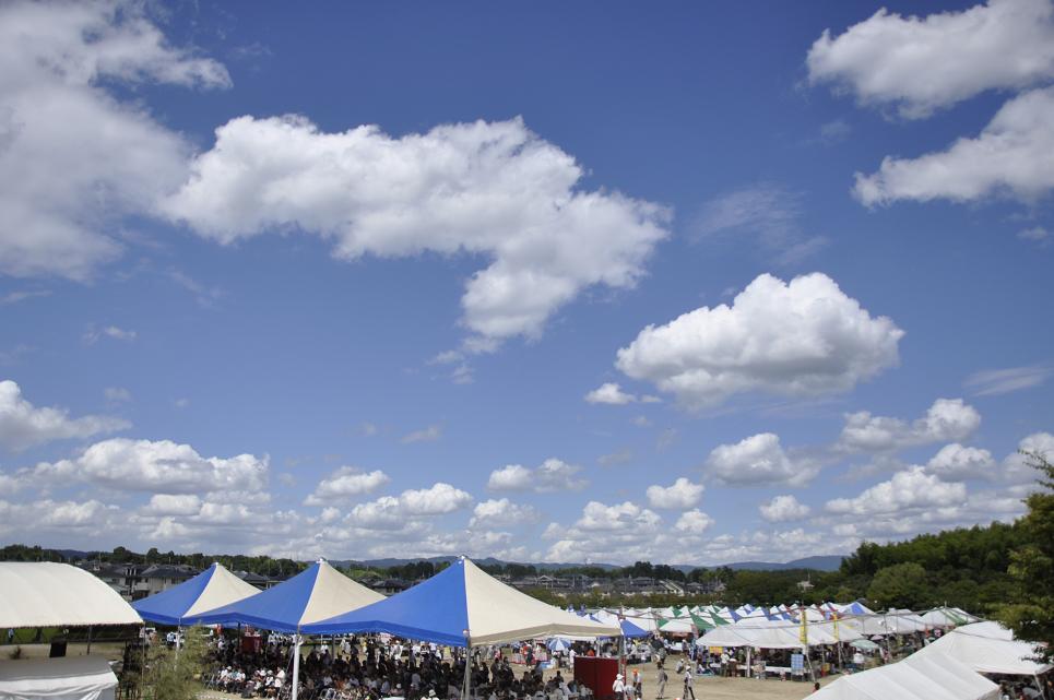e0060542_525167.jpg