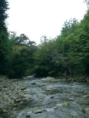 c0199544_21283169.jpg