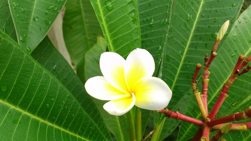f0229844_06080.jpg