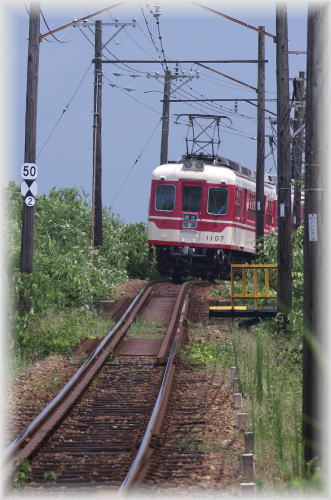 c0107149_8514150.jpg