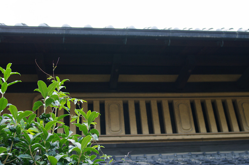 f0152550_18144670.jpg
