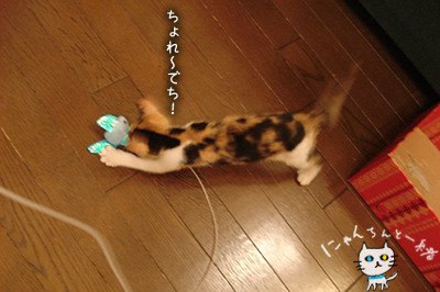 e0031853_16333867.jpg