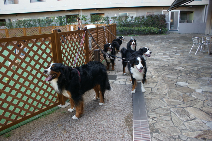 f0161964_17102349.jpg