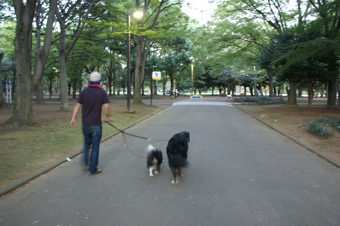 弾丸、東京ツアー！！　その②_f0161964_17251920.jpg