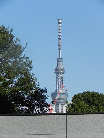 d0048366_14372238.jpg