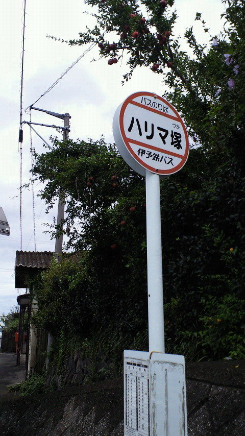 c0001670_10231565.jpg