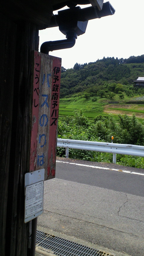 c0001670_10234266.jpg