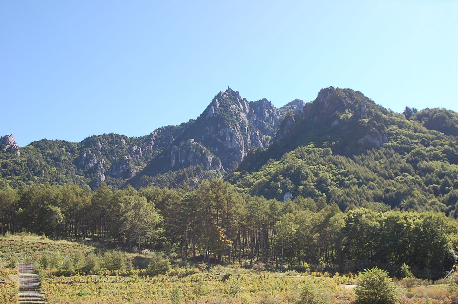d0078471_12315831.jpg
