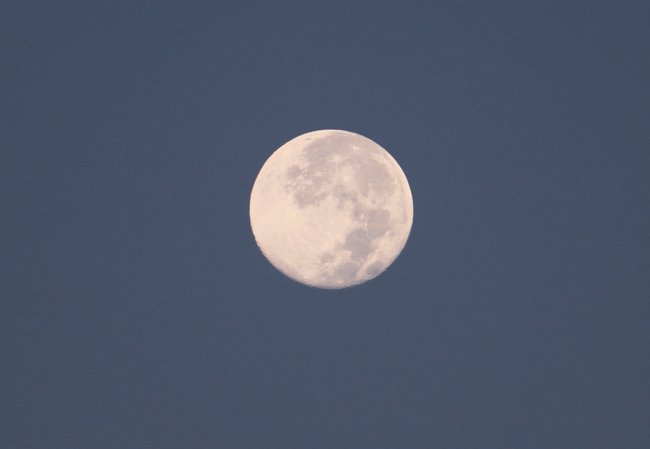 e0185075_22544642.jpg