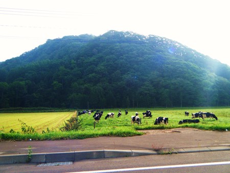 2011.09.17 道東アメマス河川vol.2 狼青年!?_d0170077_2182949.jpg