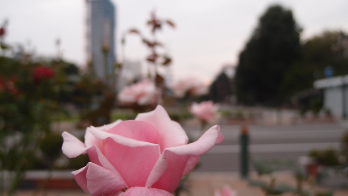 e0024081_15552674.jpg