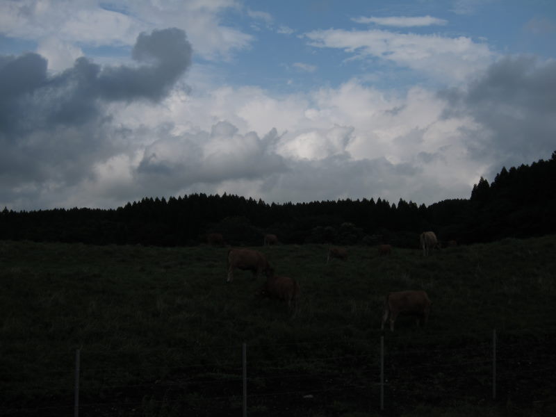 壮観な景色と自然に魅了された阿蘇(1日目）:雲を突っ切って阿蘇山へ－ブロンプトンと行く九州12日間⑨_e0138081_18264750.jpg
