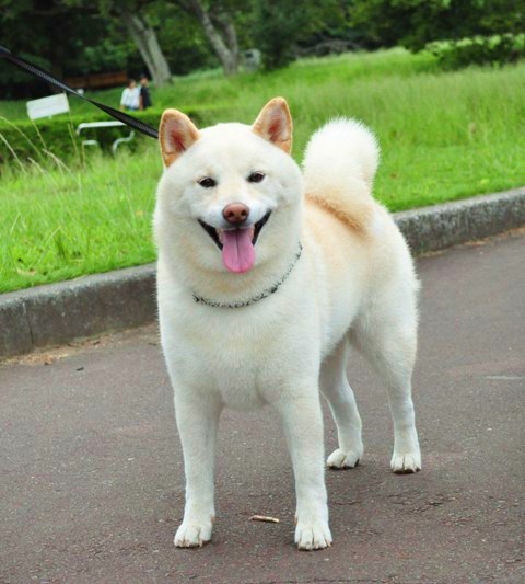 今日はおデート!_a0126590_21571564.jpg