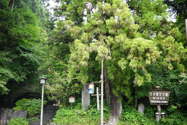 a0127090_11464345.jpg