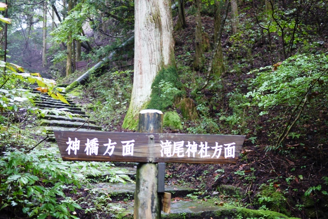 a0127090_12351091.jpg