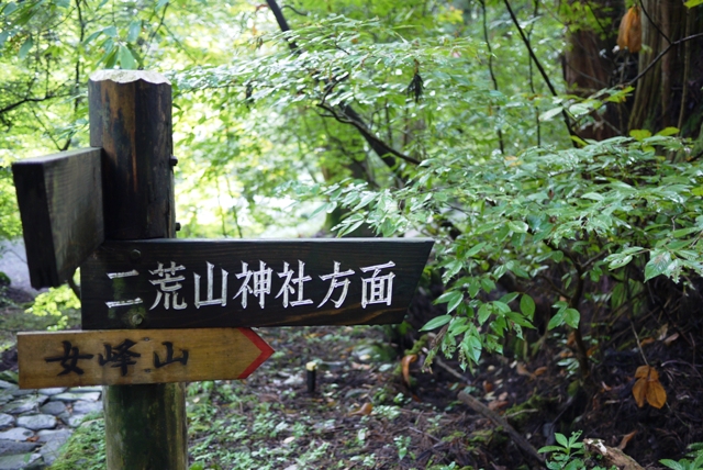 a0127090_2235287.jpg
