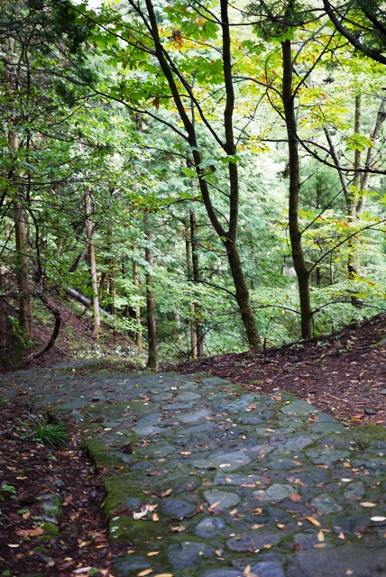 a0127090_22413521.jpg