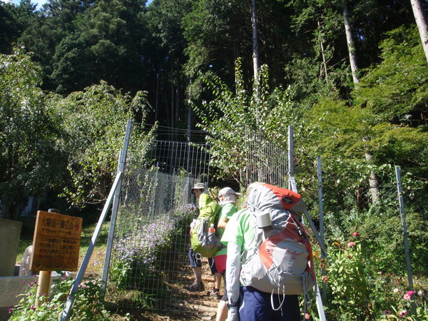 d0034291_84813.jpg