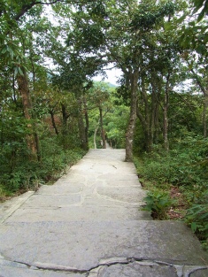 b0204492_112616.jpg