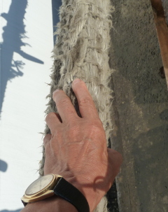 f0166694_23184818.jpg