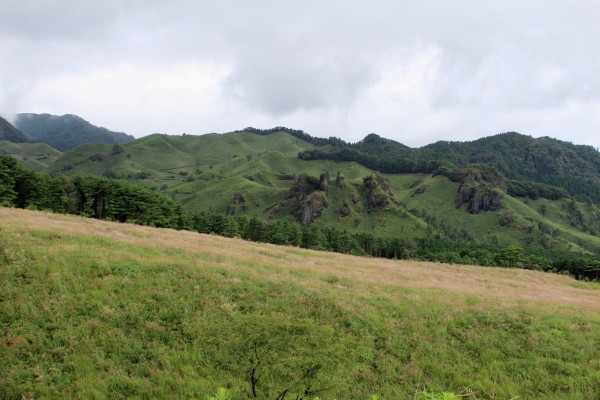 f0200594_8275317.jpg