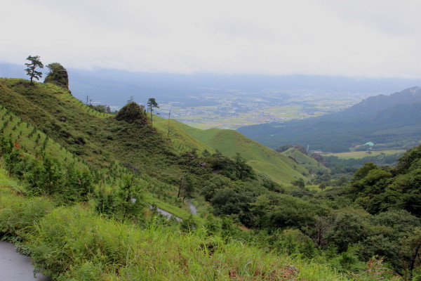 f0200594_848148.jpg