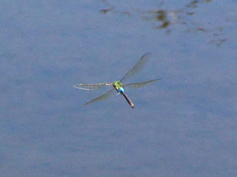 f0204094_20584098.jpg