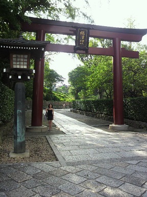 根津神社で亀三昧。_a0126797_1464286.jpg