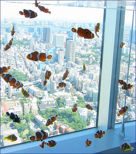 六本木ヒルズ「天空の水族館」スカイアクアリウム2011　ＰＡＲＴ１_b0145398_13242554.jpg