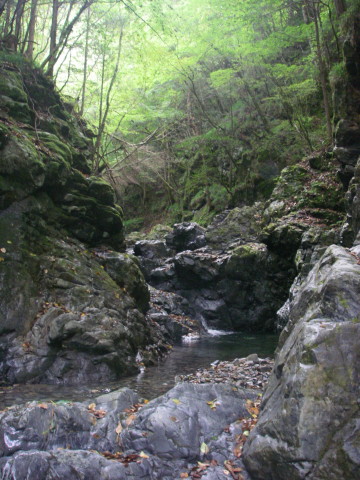 a0104199_22104425.jpg
