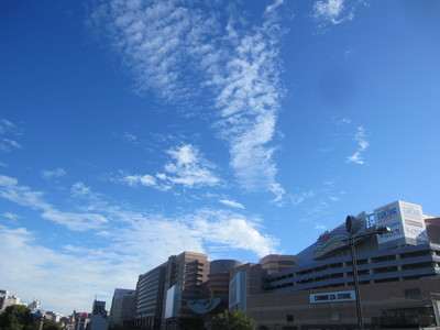 a0216805_231469.jpg