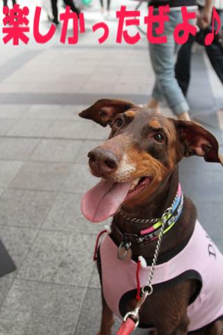 e0100007_2013839.jpg
