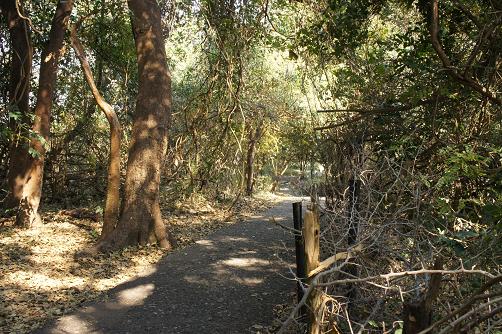 b0112909_17381355.jpg