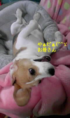 a0161310_2353213.jpg