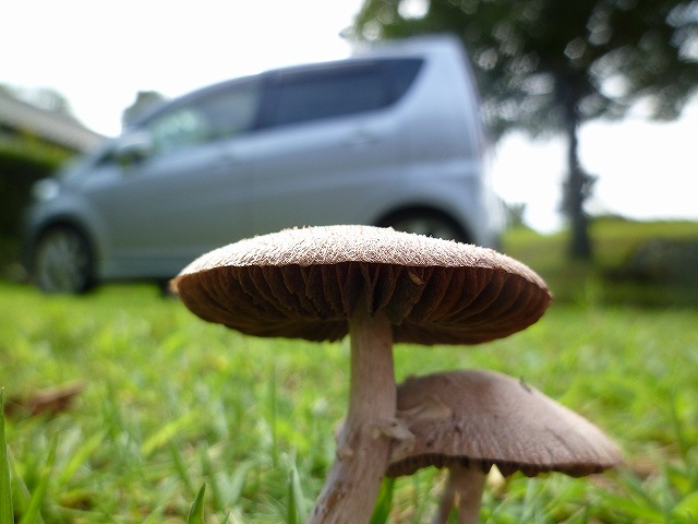 d0037110_1949101.jpg