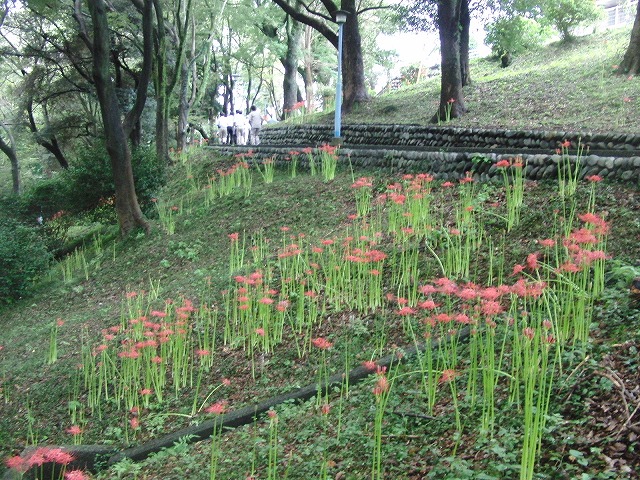 吉原公園再整備検討ワークショップが始まりました_f0141310_834624.jpg