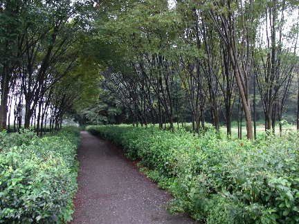 c0051112_1994598.jpg