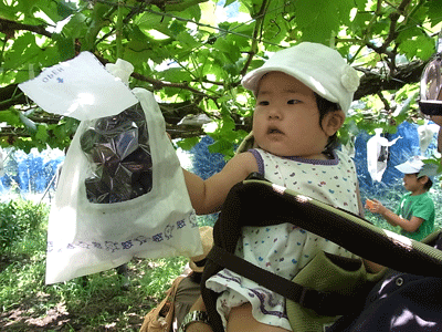 c0181921_2311966.gif