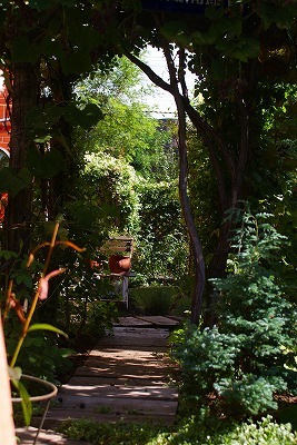 f0170524_17594791.jpg
