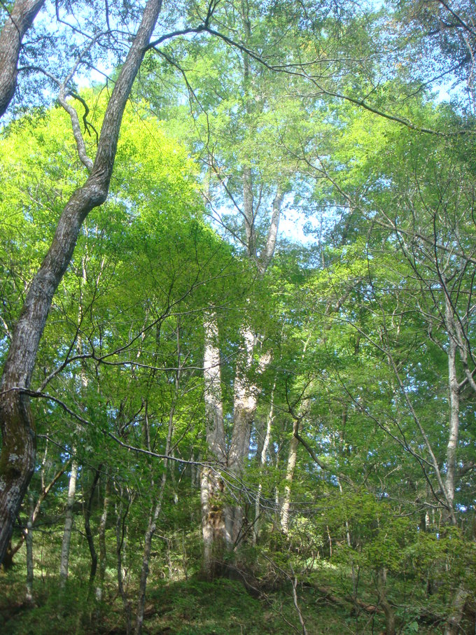 f0109825_1101214.jpg