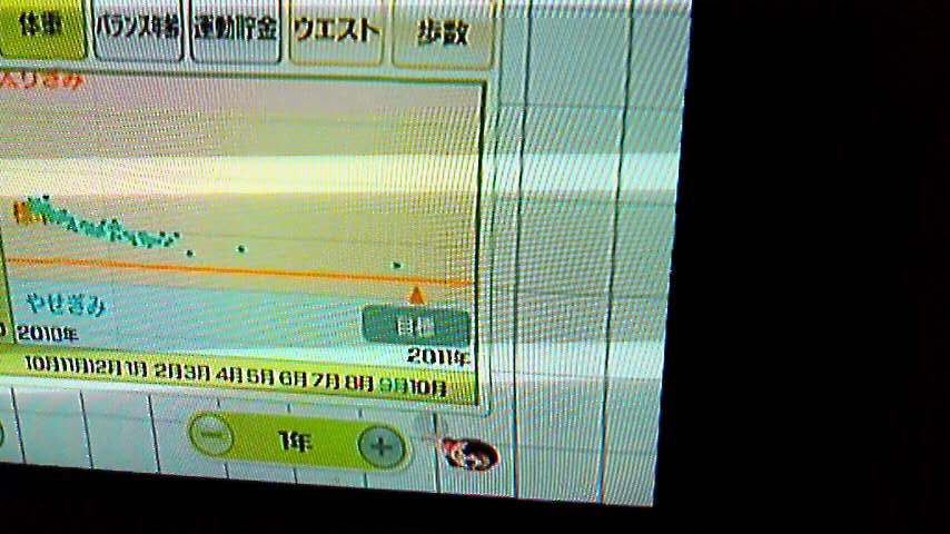 wii fit日記★久々の体重測定_f0234427_0401548.jpg