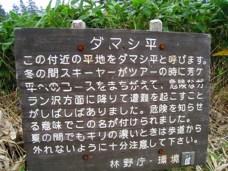 山ガール渋峠・芳ヶ平ハイキング開催_a0057828_20342518.jpg
