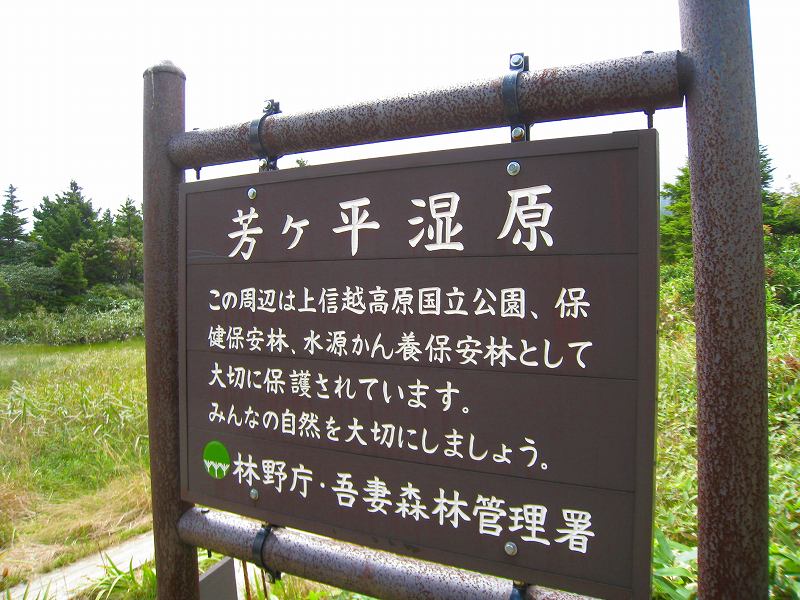 山ガール渋峠・芳ヶ平ハイキング開催_a0057828_20363937.jpg
