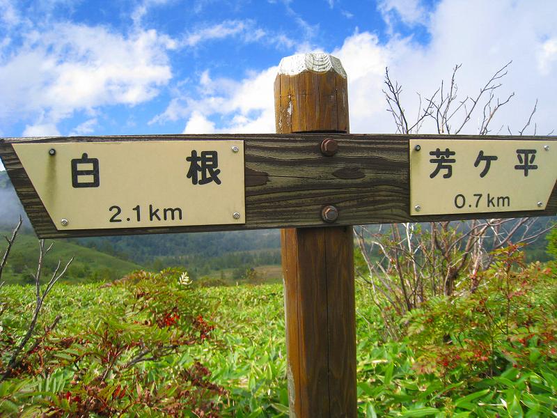 山ガール渋峠・芳ヶ平ハイキング開催_a0057828_2059116.jpg