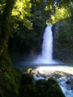 c0214933_80504.jpg
