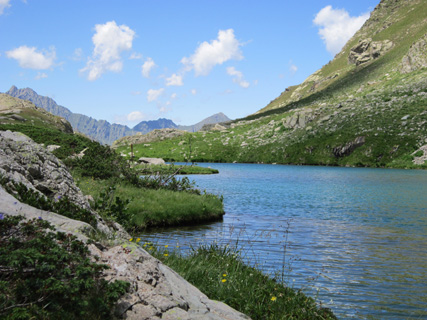 思い出の散歩道、花咲く道を山の高みの湖へ_f0234936_139637.jpg