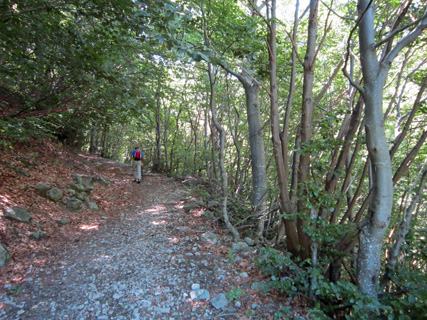 思い出の散歩道、花咲く道を山の高みの湖へ_f0234936_141334.jpg