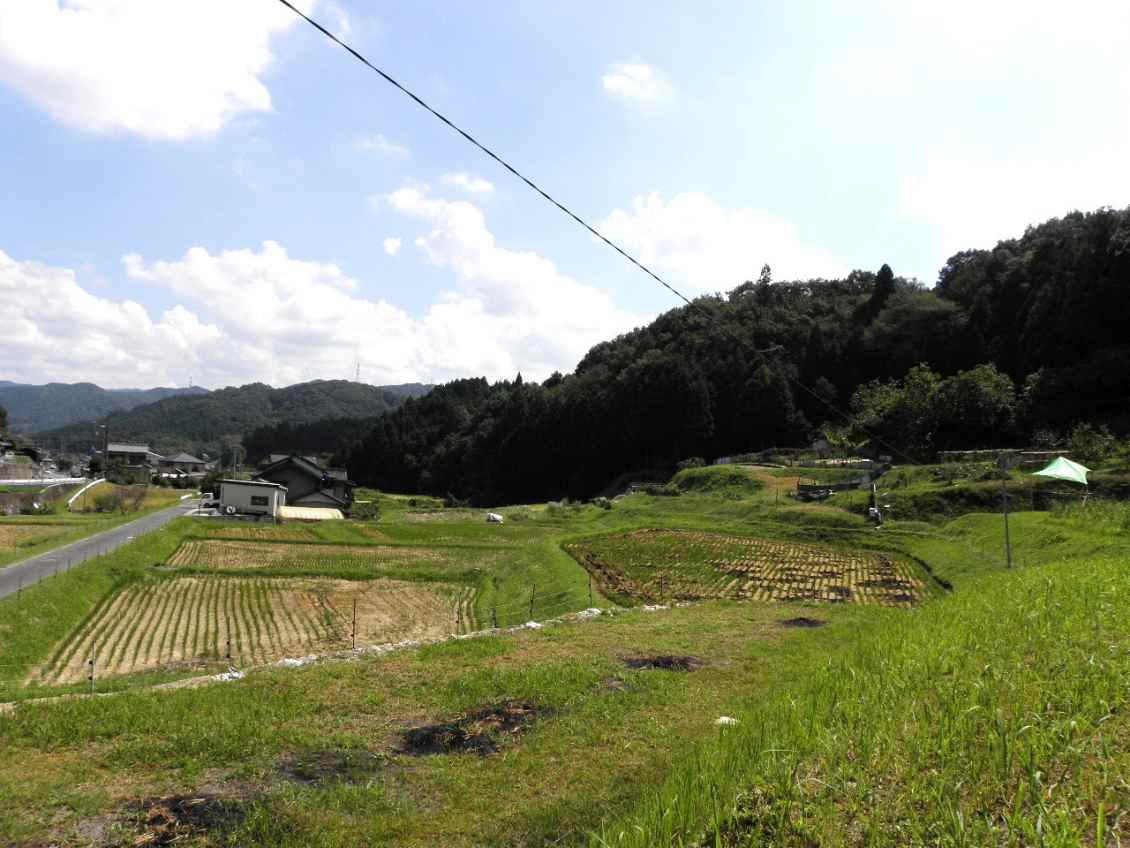 c0172139_10724.jpg