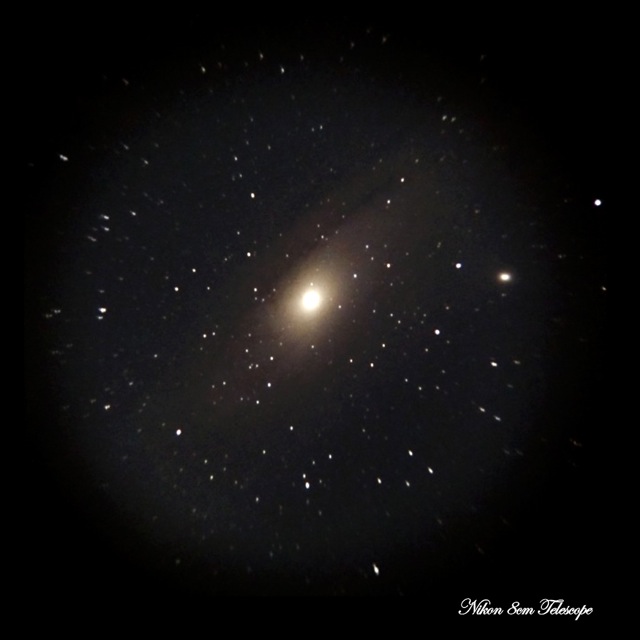 月夜のテスト撮影（M31アンドロメダ銀河）_b0167343_1595567.jpg